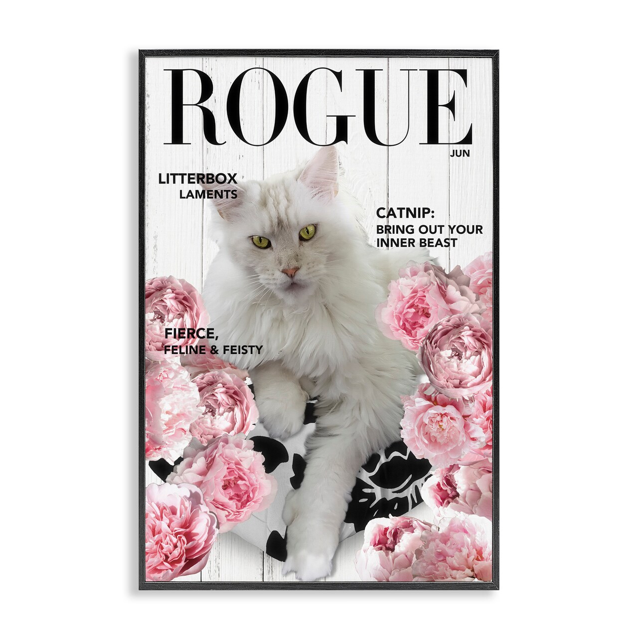 Stupell Industries Funny Floral Cat Magazine Framed Giclee, design by Sasha
